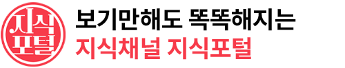 유튜브 지식포털